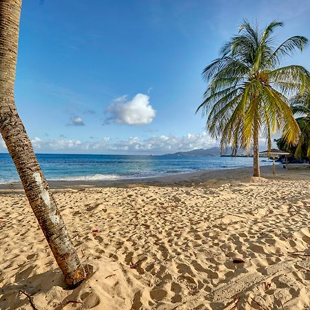 Starfish Grenada Hotel St. George's Exterior photo