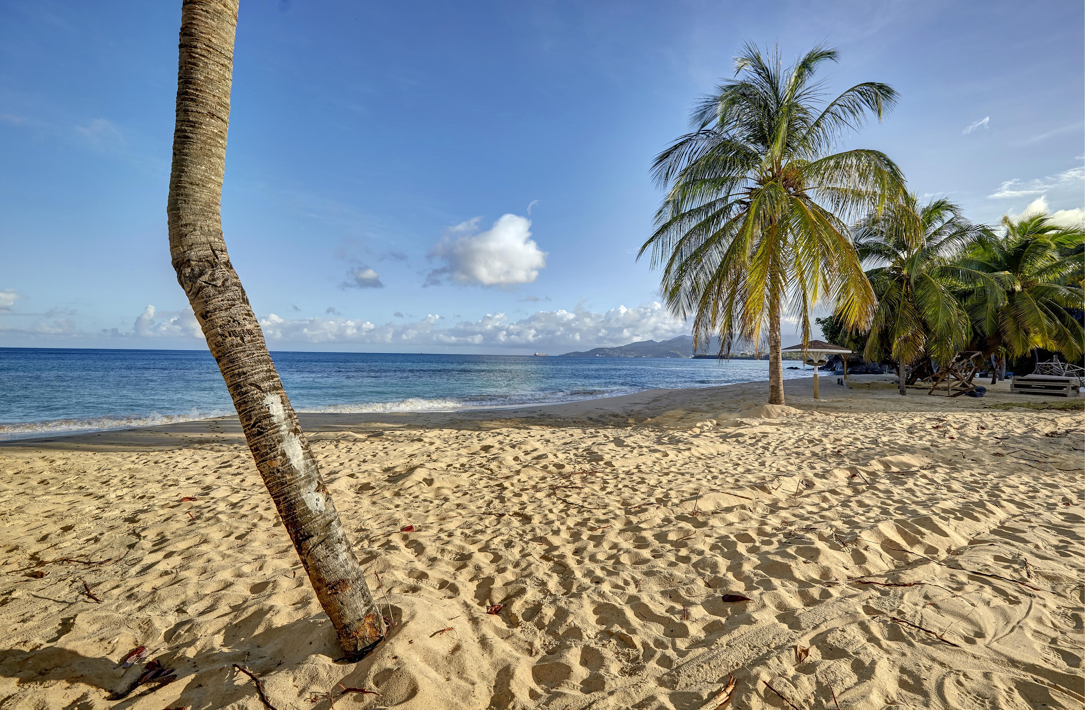 Starfish Grenada Hotel St. George's Exterior photo