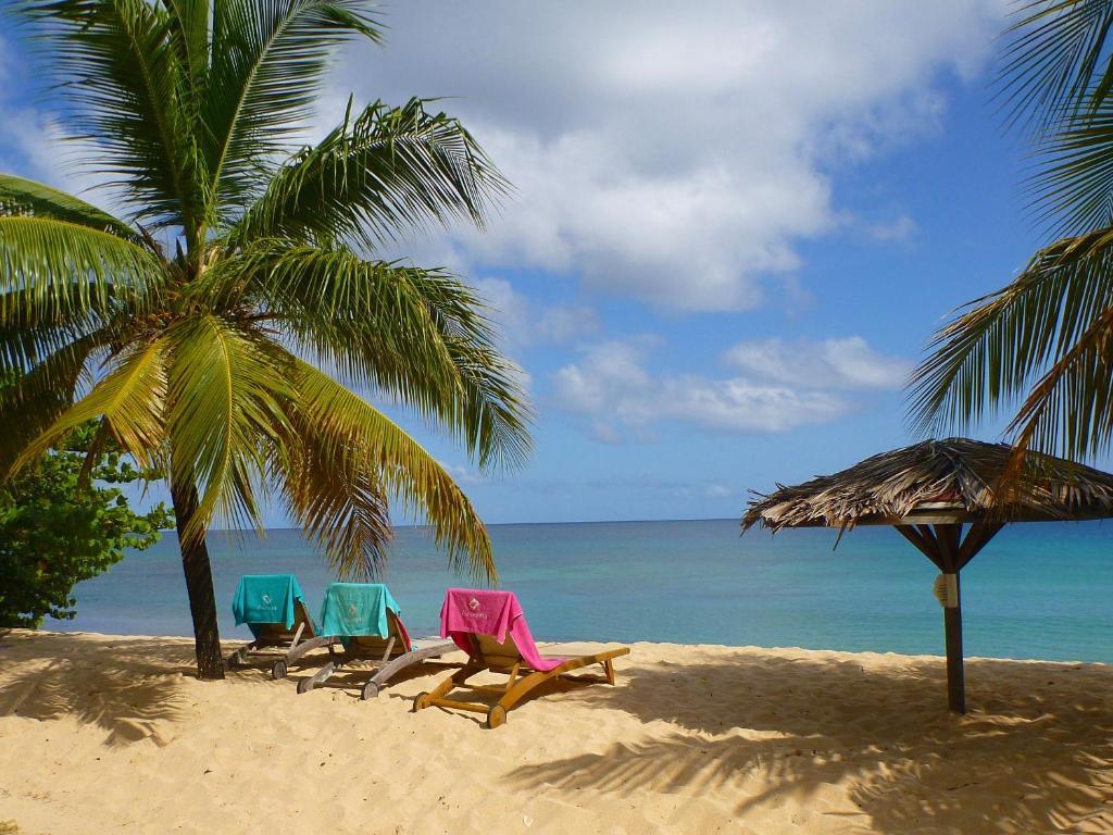 Starfish Grenada Hotel St. George's Exterior photo