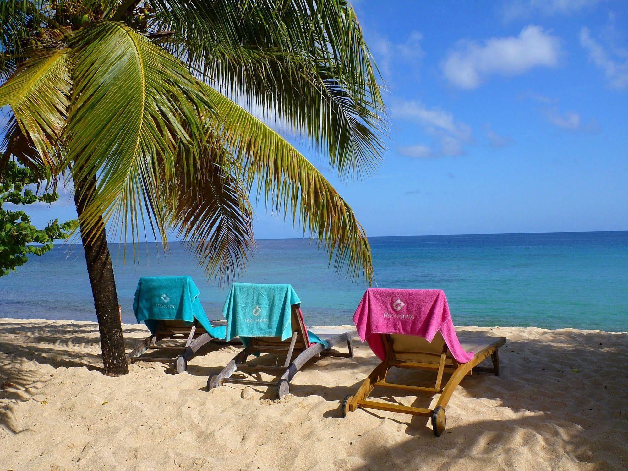 Starfish Grenada Hotel St. George's Exterior photo