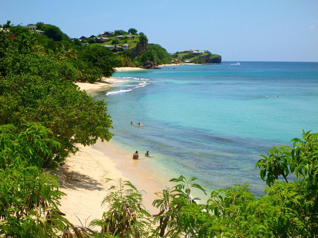 Starfish Grenada Hotel St. George's Exterior photo